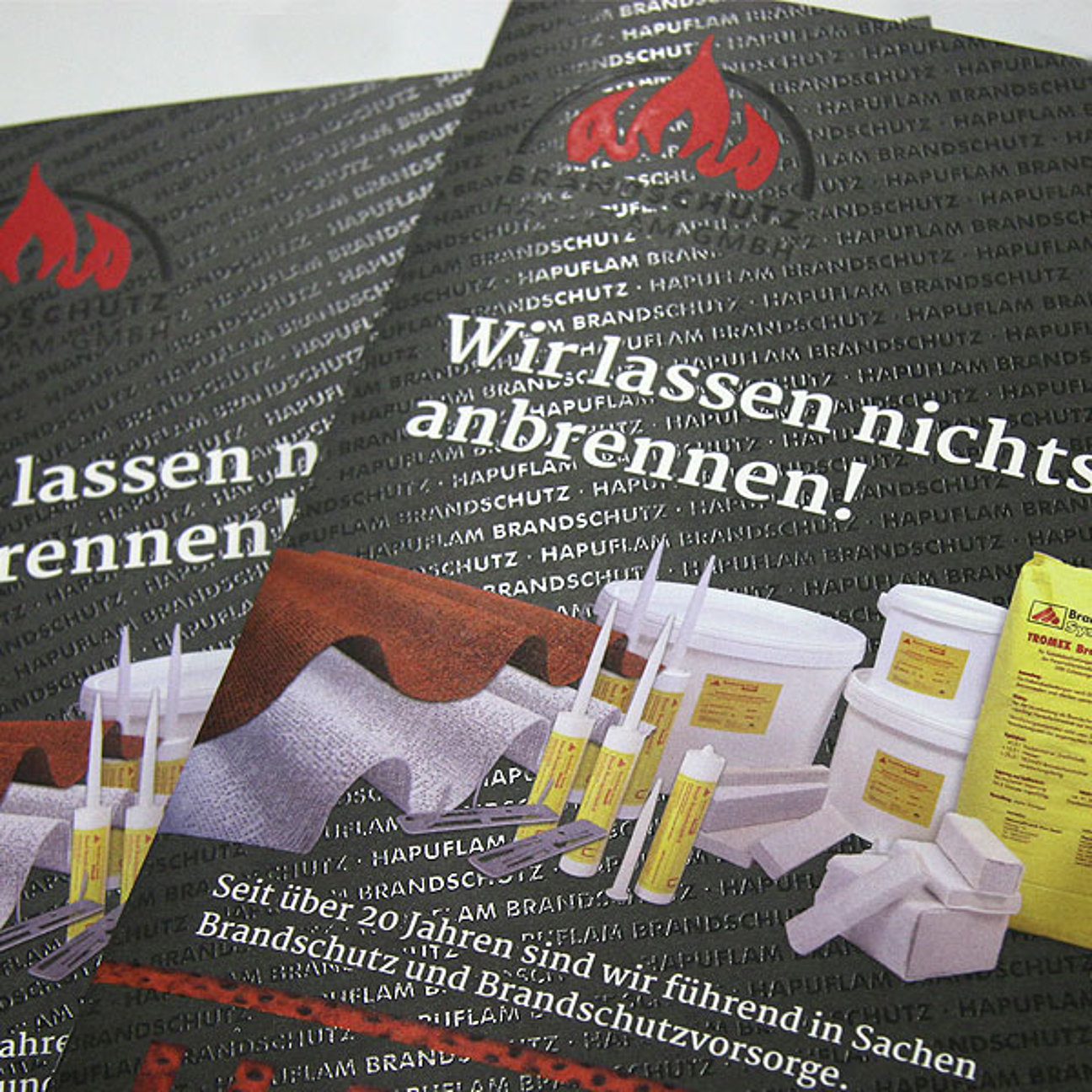 HAPUFLAM-News-1-30012018